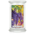 Vineyard Harvest 623g – Hauptansicht