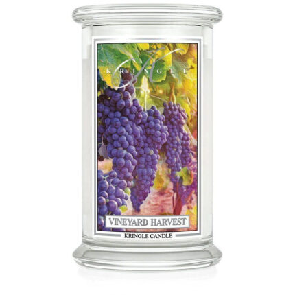 Vineyard Harvest 623g – Hauptansicht