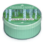White Birch & Rain Daylight 42g – Hauptansicht