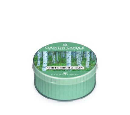 White Birch & Rain Daylight 42g – Produktansicht