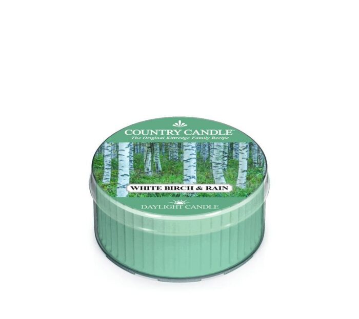 White Birch & Rain Daylight 42g – Produktansicht