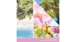 Wild Orchid 37g – Produktansicht
