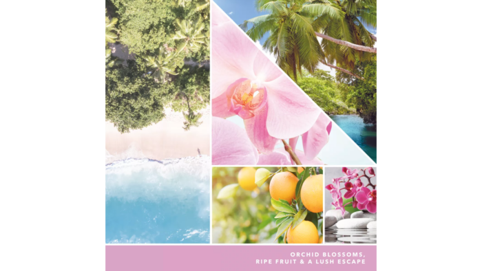 Wild Orchid 37g – Produktansicht