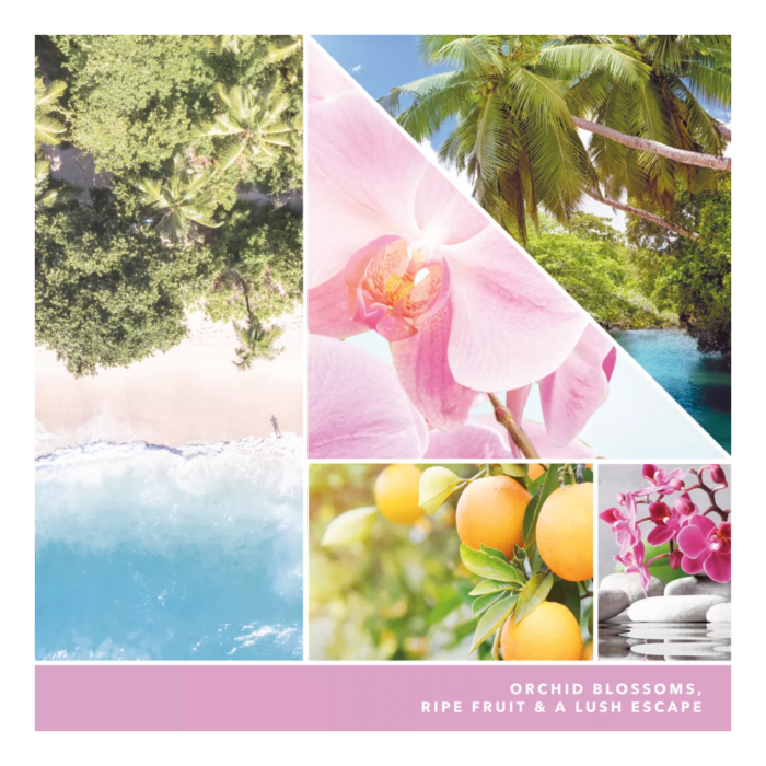 Wild Orchid 37g – Produktansicht