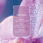Wild Orchid Signature Medium Jar 368g 2-Docht – Produktansicht
