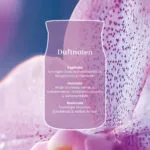 Wild Orchid Signature Medium Jar 368g 2-Docht – Produktansicht
