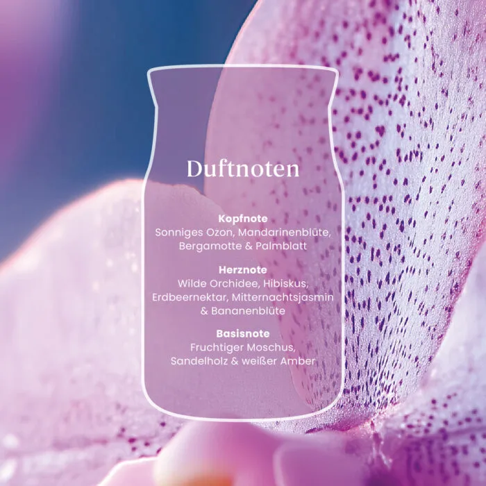 Wild Orchid Signature Medium Jar 368g 2-Docht – Produktansicht