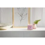 Wild Orchid Signature Medium Jar 368g 2-Docht – Produktansicht
