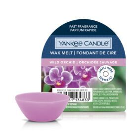 Wild Orchid Wachsmelt 22g – Produktansicht