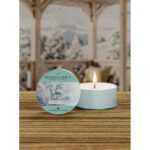 Winter Cypress Daylight 42g – Produktansicht