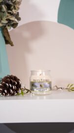 Winter Jasmine 100g – Produktansicht