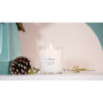 Winter Jasmine 170g – Produktansicht