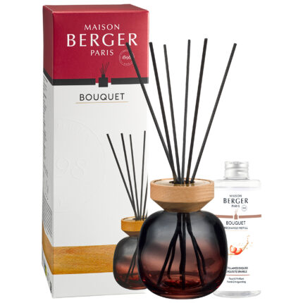 Raumduft-Diffuser mit schwarzen Stäbchen neben Verpackung und Nachfüllflasche