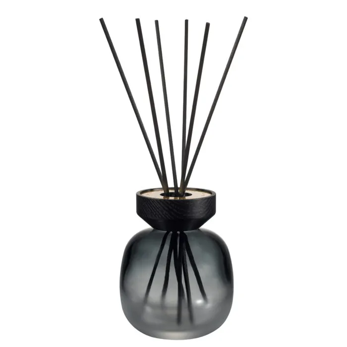 Maison Berger Paris Verpackung mit Bouquet-Diffuser-Abbildung