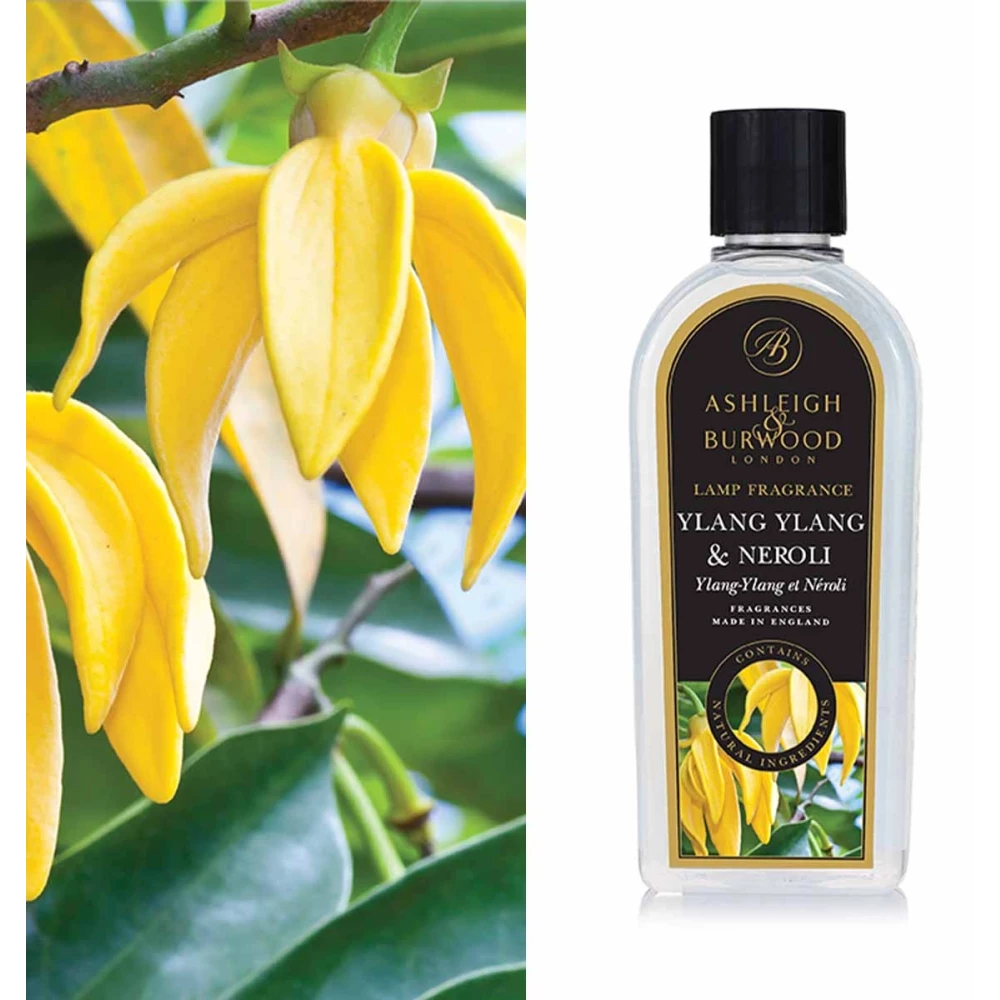 Produktbild Ylang Ylang & Neroli 500ml Duftlampenöl Nachfüller – Hauptansicht